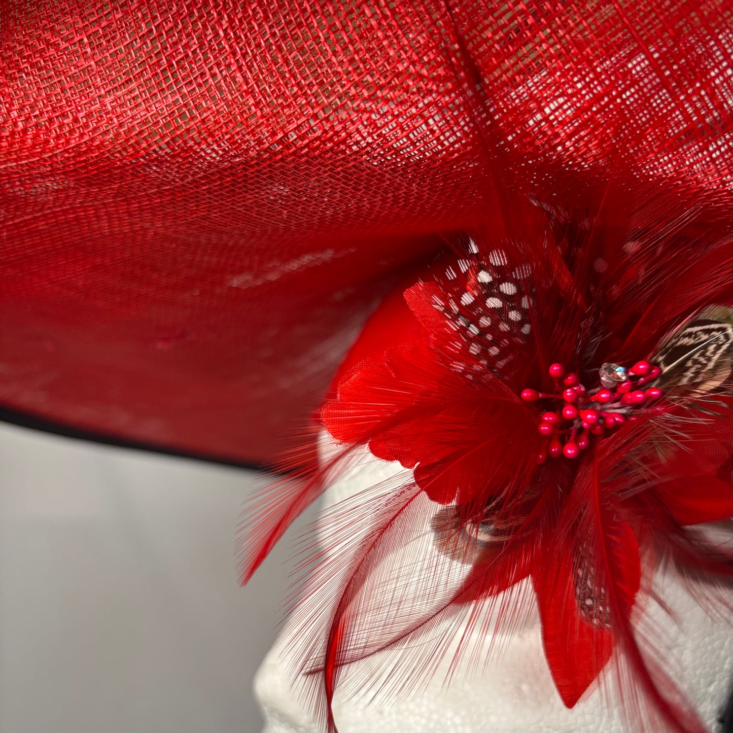 Red wide-brim statement hat with feather details
